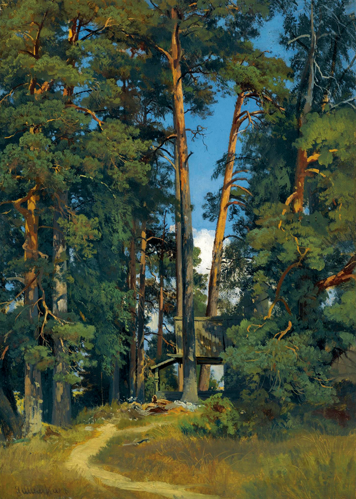  伊凡·伊凡诺维奇·希施金 Ivan I. Shishkin —— 林中小路 (2)